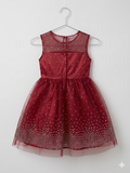 Jona Michelle Girls Maroon Shimmer Mesh Holiday Party Dress - Size Estimated Age 8 Years AB1