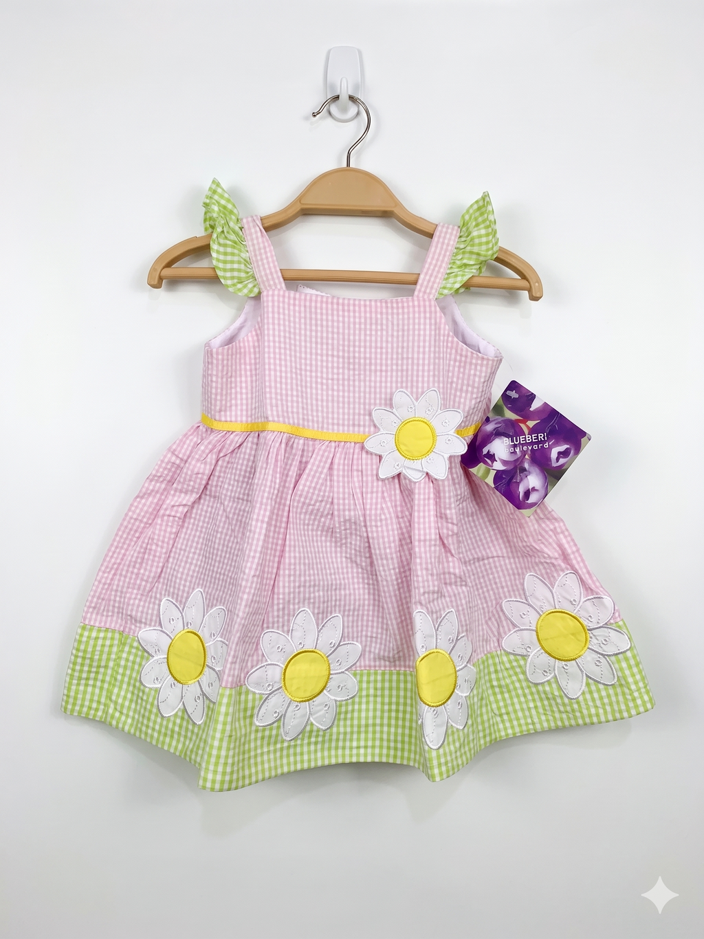 Blueberi Boulevard Baby Girls Pink & Green Seersucker Daisy Dress – (Size 6/9M) Ab1