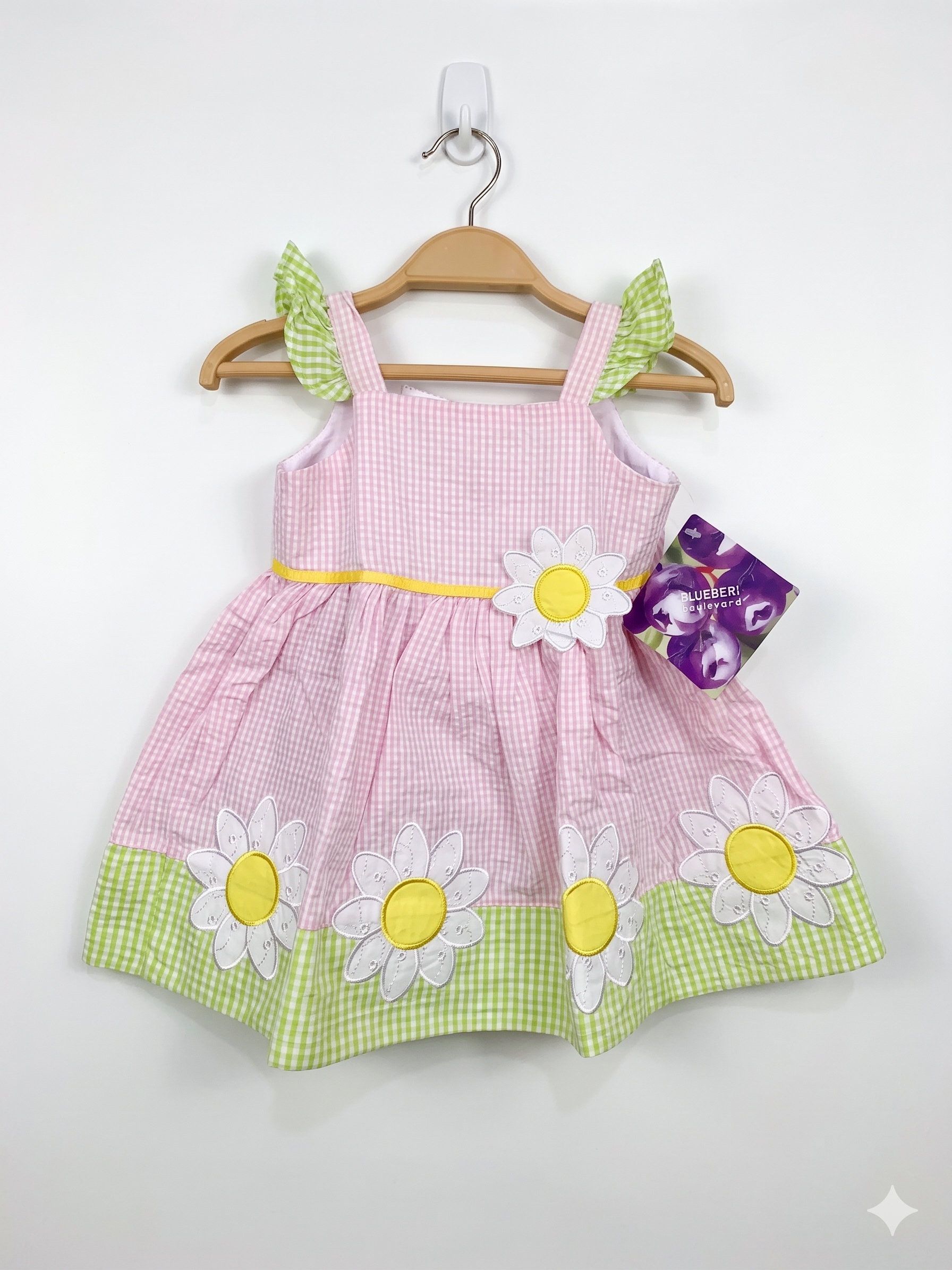Blueberi Boulevard Baby Girls Pink & Green Seersucker Daisy Dress – (Size 6/9M) Ab1