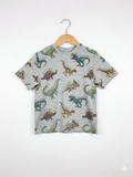Primark Cares Boys Heather Grey "Dinosaur Kingdom" Short Sleeve Tee - Size 6-7Y (122CM) AB1