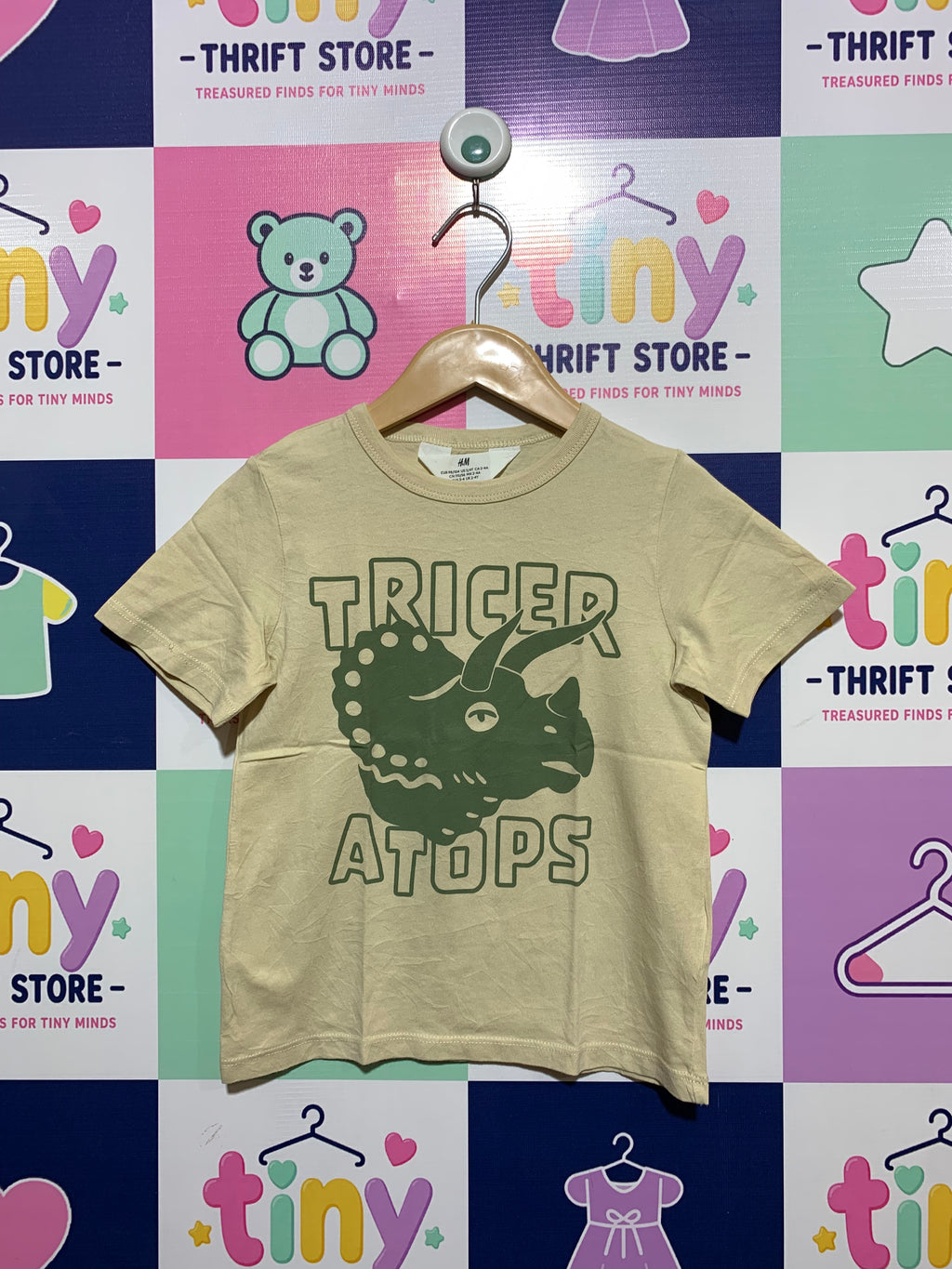 H&M Boys Triceratops Graphic Tee - Size 3-4 Years AB1