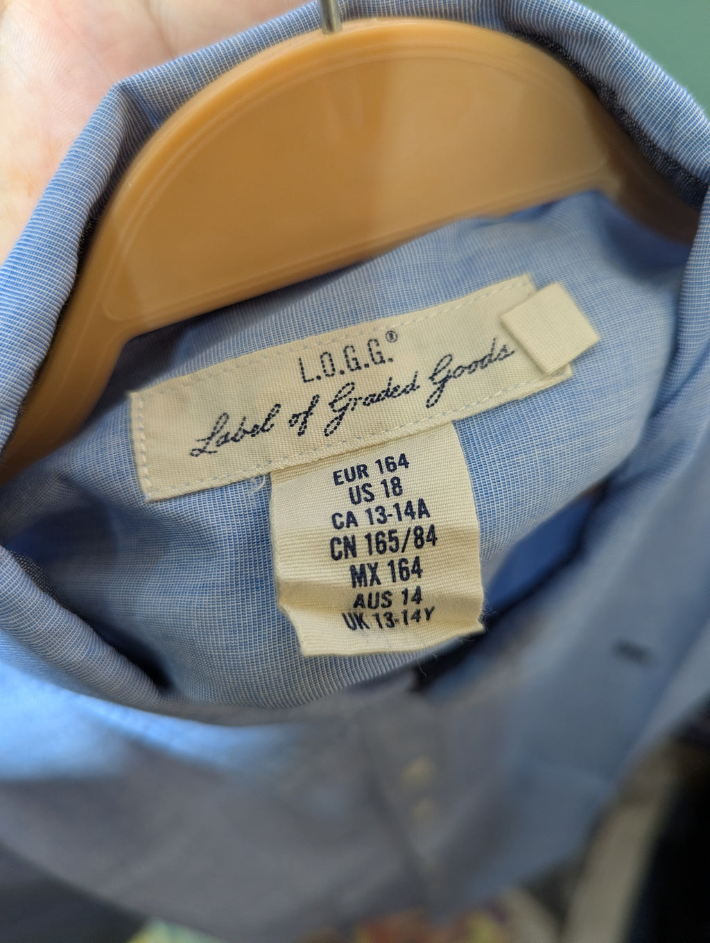 L.O.G.G. Label of Graded Goods Boys Light Blue Long Sleeve Button-Down Shirt - Size Estimated Age 13-14 Years AB1