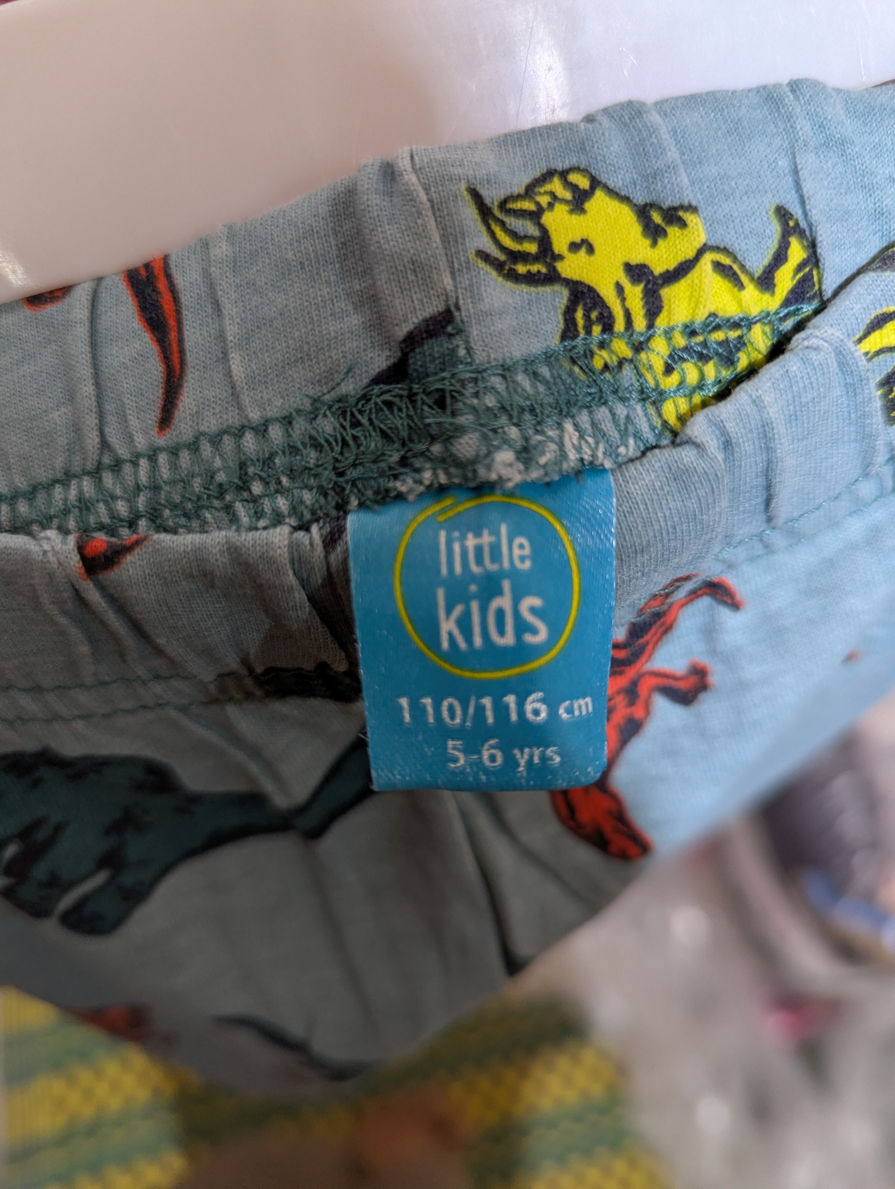 Little Kids Boys Blue "Dinosaur Adventure" Printed Jogger Pants - Size 5-6 Years (Estimated Age 5-6 Years) AB2