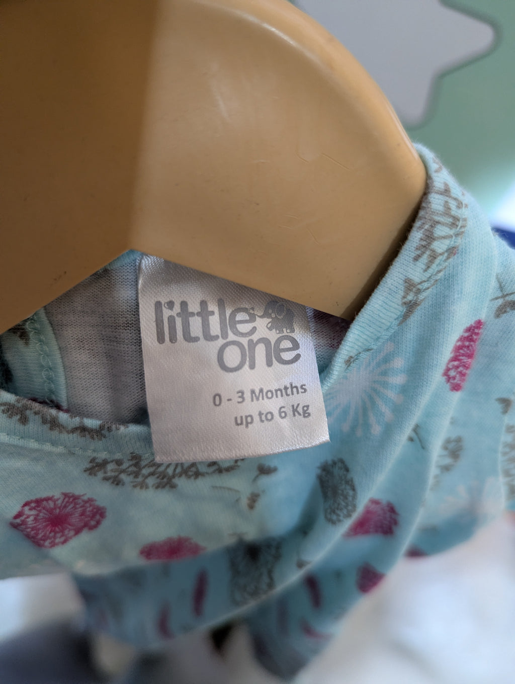 Little One Baby Girls Mint Green & Pink Floral Dandelion Print Romper - Size Estimated Age 0-3 Months AB2