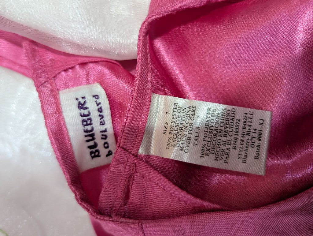 Blueberry Boulevard Girls Hot Pink & White "Butterfly Embroidery" Party Dress - Size Estimated Age 7 Years AB2