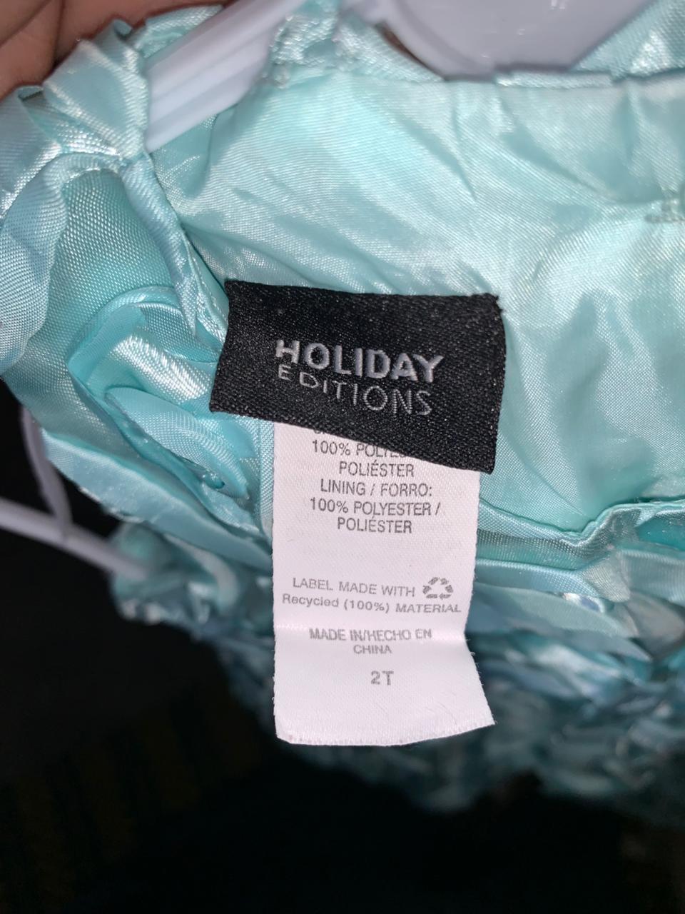 Holiday Editions Mint Green Rosette Party Dress - Size 2T (Estimated for 2 Years Old) AB1