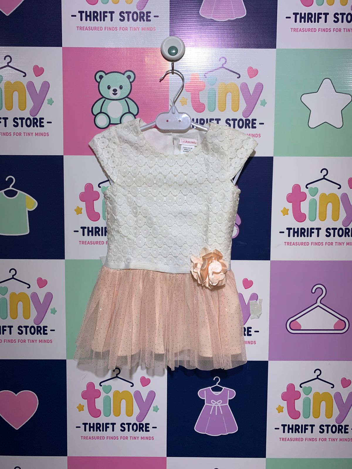 Youngland Toddler Girls Lace & Glitter Tulle Party Dress - Size 3T AB1