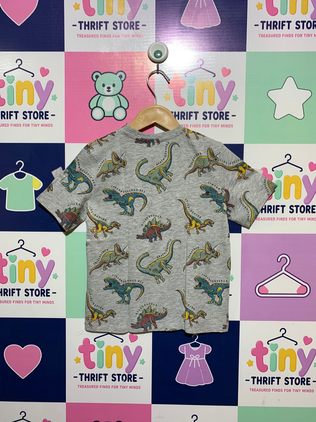 Primark Cares Boys Heather Grey "Dinosaur Kingdom" Short Sleeve Tee - Size 6-7Y (122CM) AB1